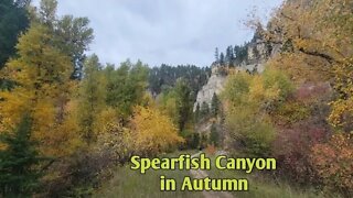 Spearfish Canyon in Autumn and an Evening at Camp