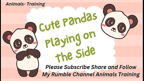 Cute Pandas Playing on The Side,