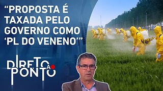 Xico Graziano analisa Projeto de Lei sobre agrotóxicos e pesticidas | DIRETO AO PONTO