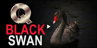 Gen Flynn: Black Swan Event Will Cancel 2024 Election! 10x Worse Than 9/11!