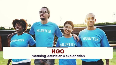 What is NGO?