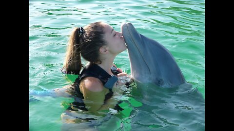 women and dolphins