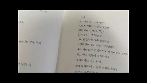 벽암록, 원오극근, 혜원, 양무제, 달마대사, 관음대사, 성스러운진리, 갈등, 선승, 불심천자, 무문관,진리, 임제종, 문자선, 종문제일서, 확연무성, 지도무난, 마조불안, 덕산