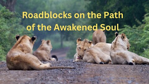 Roadblocks on the Path of the Awakened Soul ∞The 9D Arcturian Council, by Daniel Scranton 09-30-22