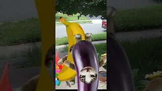 Banana Cat vs Eggplant Cat! 🍌🍆 #BananaCat #eggplantCat #Vs