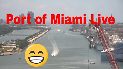 Port of Miami Live