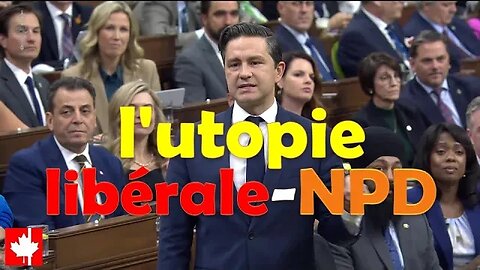 La dure réalité de l’utopie libérale-NPD