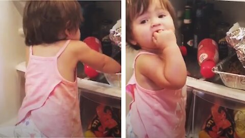 What Happens When Baby Open The Fridge | Funny baby