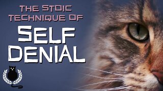 The Stoic Technique of Self-Denial | Stoicism