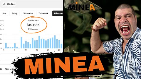 I found a bug on the MINEA system to find $19k per month winning products