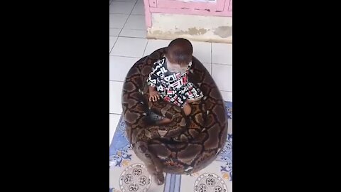 friendship with giant python