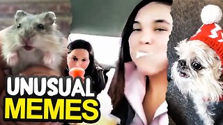 MOST UNUSUAL MEME COMPILATION!