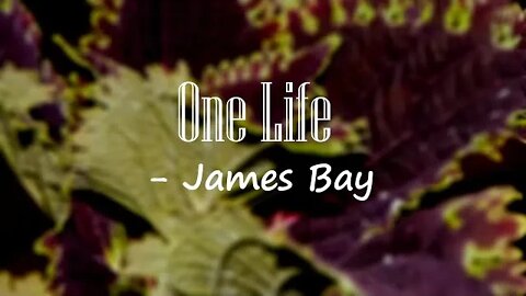James Bay - One Life (Lyrics) 🎵