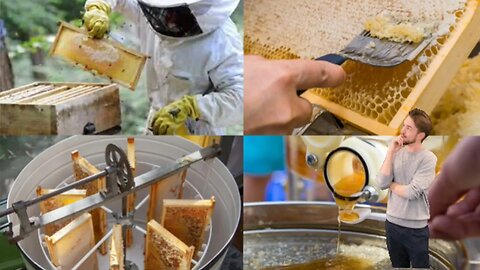 la récolte de miel : savoir les différents techniques de récolte,l'extraction de miel et mise en pot