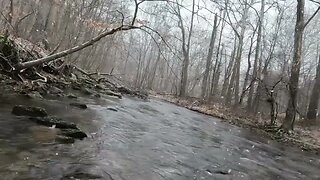 Walking through the creek while it’s snowing. Raw video. Peaceful nature.