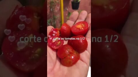 Como plantar tomate cereja?