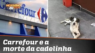 Tudo sobre a morte da cadelinha e o posicionamento do Carrefour