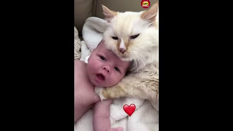 Funny Baby and Cats 🥰 Funny Cat Videos(Hilarious) shorts cutebaby