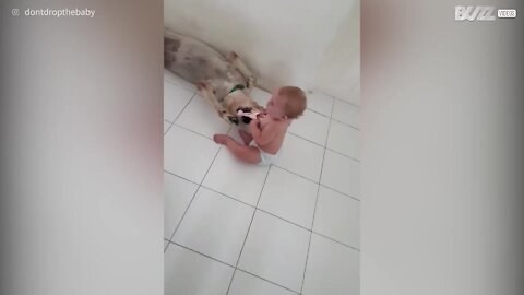 La lotta tra un bimbo e il suo cane