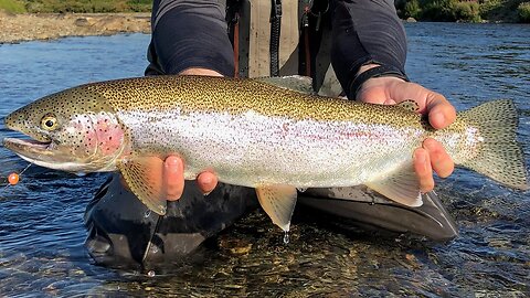The Time is NOW! Spring Trout Fishing with the EXPERTS!