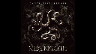 Meshuggah - Catch Thirtythree