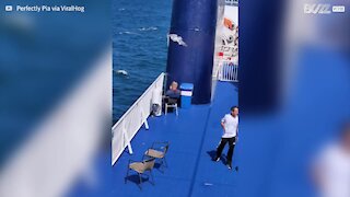 Seagull hovers above man's head trying to pinch food