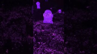 Spooky Scary Graveyard! Protected By a Giant Spider!!!! Halloween Fun!