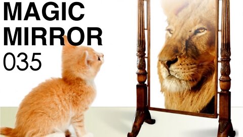 Magic Mirror 035 - The Honeybadger