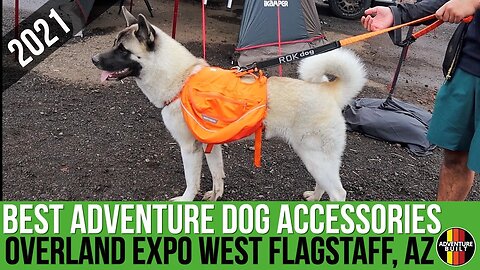 BEST ADVENTURE DOG ACCESSORIES FROM OVERLAND EXPO WEST 2021 | FLAGSTAFF AZ | TAKE YOUR BFF WITH YOU