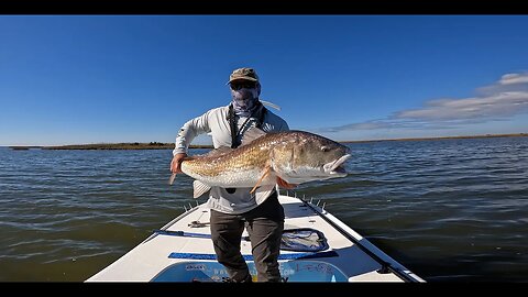 Two BIG Fish and Flip Flop Flats