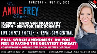 💬 Free Speech & Government Censorship, FBI Overreach, Bee or Not the Bee • Annie Frey Show 7/13/23