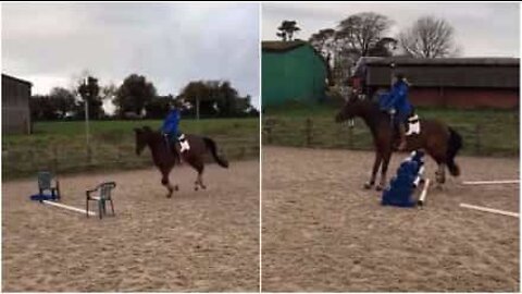 Même le plus petit obstacle est trop grand pour ce cheval!