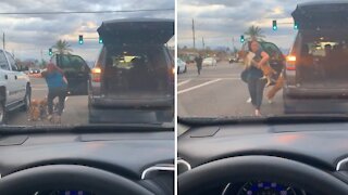 Lady Gets Out Of Her Car To Save Stray Dogs From Traffic