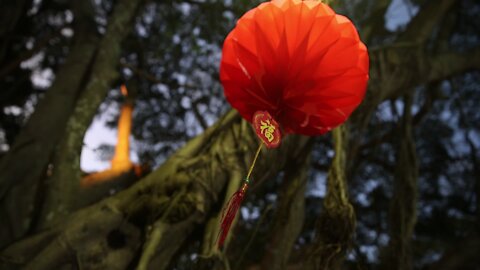 SOUTH AFRICA - Durban - Chinese Moon Festival (jBU)