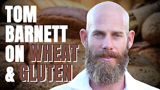 IS GLUTEN REALLY AS TOXIC AS THEY SAY? [TOM BARNETT]
