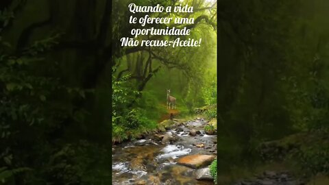 quando a vida te oferecer uma oportunidade, não recuse Aceite! músicas relaxantes