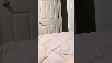 Playing fetch on the bed