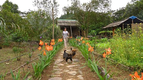 growing beans, harvesting and cooking