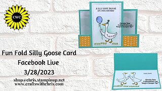 Fun Fold Card Using Silly Goose