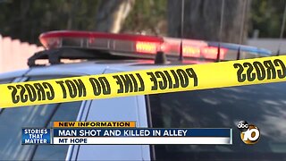 Man killed in Mt Hope