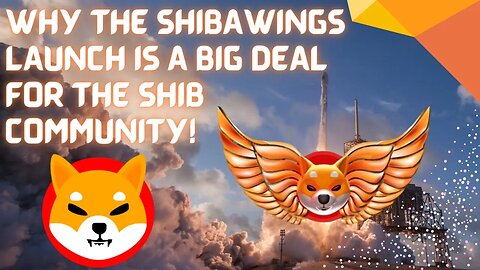 SHIBAWINGS LAUNCH IS A BIG DEAL FOR THE SHIB COMMUNITY