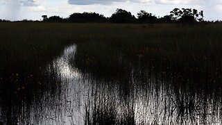 EPA Finalizes Rule Rolling Back Protections For Streams And Wetlands