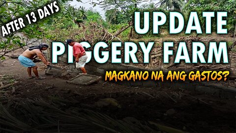 New Update sa Piggery Building After 13 Days | Magkano na ang nagagastos | Aron Sedanto Vlog