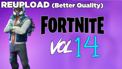 Fortnite Volume 14