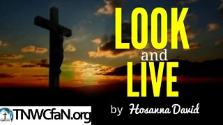 Look and Live | Hosanna David