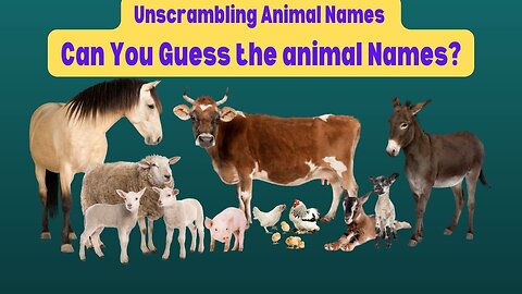 Unscrambling Animal Words