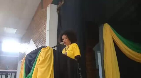 SOUTH AFRICA - Durban - Lindiwe Sisulu visits KwaDukuza (Video) (Fij)