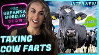 Denmark Farmers Will Soon Pay Taxes Based on How Much Their Livestock Farts - JD Rucker