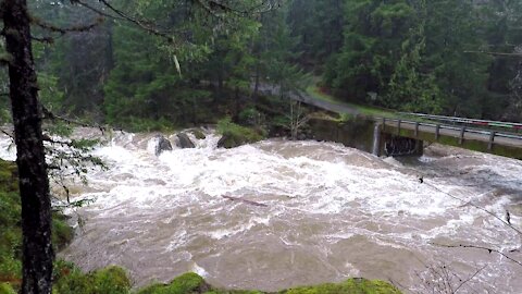 Rain swollen Koksilah River - November 15 2021