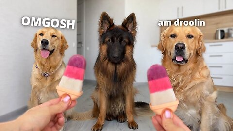 DIY DOG TREAT PUPSICLE l How To Make Dog Ice Cream